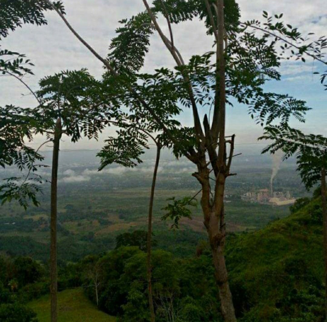 Denuncian Casos De Enfermedades Respiratorias En El Municipio